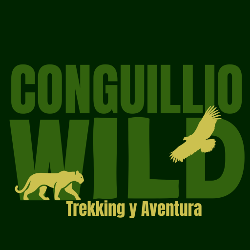 Conguillio Wild Tours